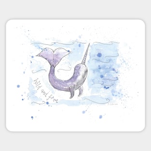 Narwhal illustration Sticker